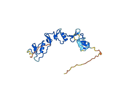 Human FSTL3 recombinant protein