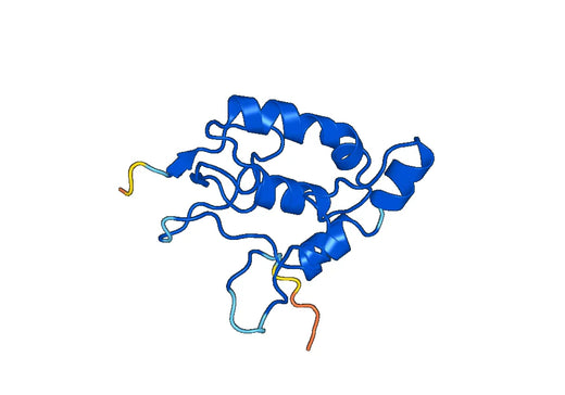 Human FZD7 recombinant protein