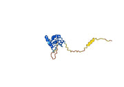 Human FZD7 recombinant protein