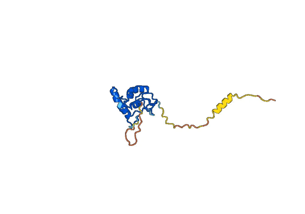 Human FZD7 recombinant protein