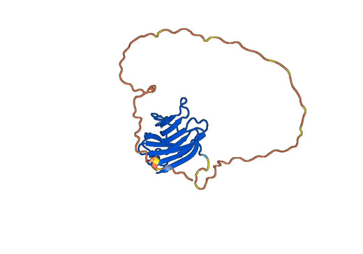Human Galectin3 (GAL3) recombinant protein