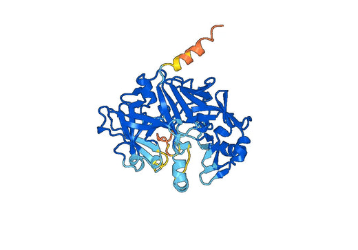 Human Gastricsin(PGII),PGC Recombinant Protein