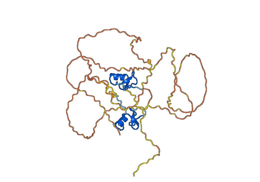 Human GATA3 Monoclonal Antibody