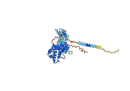 Human GFRAL Monoclonal Antibody