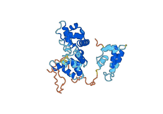 Human GFRAL recombinant protein
