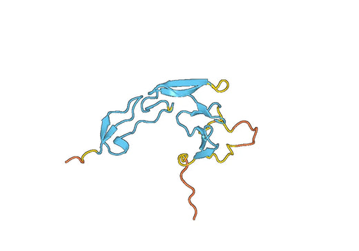 Human GITR recombinant protein