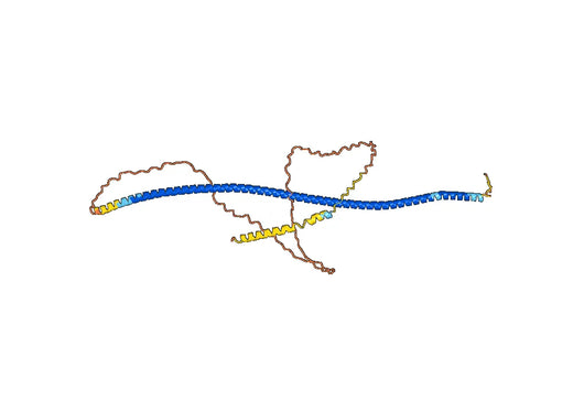 Human GOLM1/GP73 Monoclonal Antibody