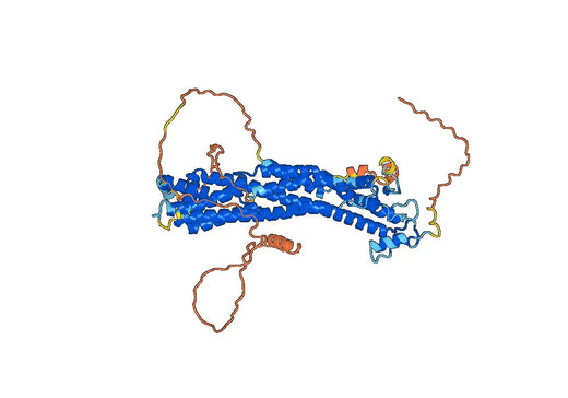 Human GPC3 Monoclonal Antibody