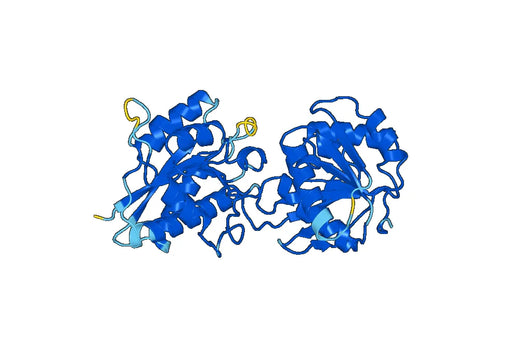 Human GRIN1 recombinant protein