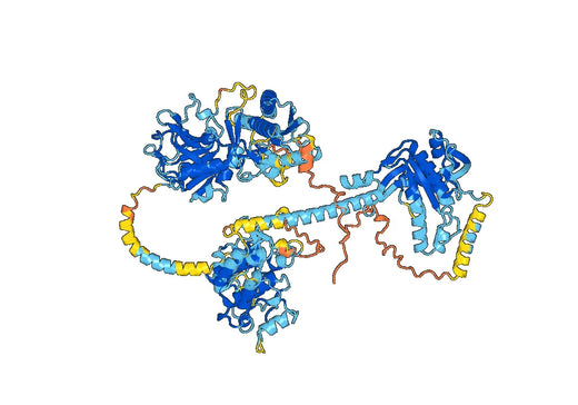 Human GUCY2C Monoclonal Antibody