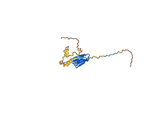 Human HA-HSP27 Recombinant Protein