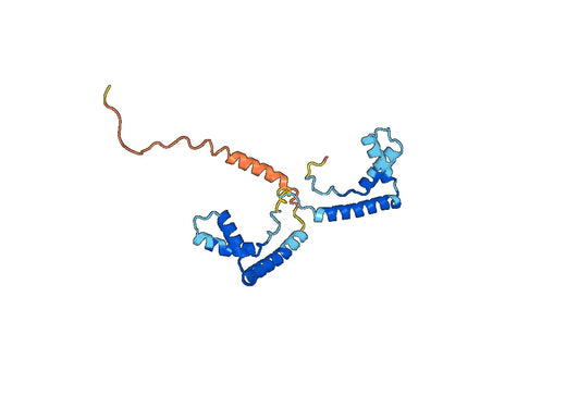 Human HMGB1 extracellular recombinant protein