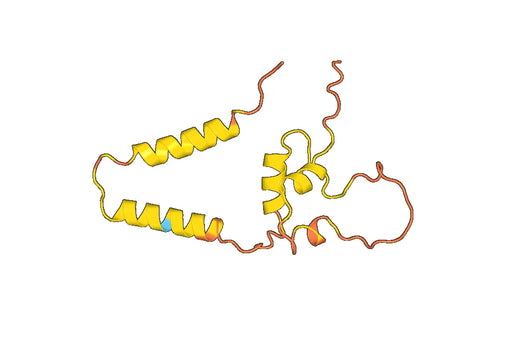 Human IGF1 recombinant protein