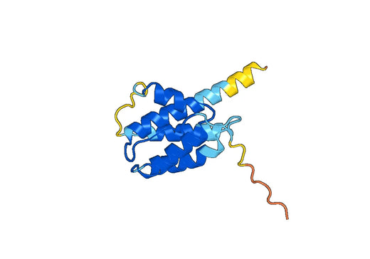 Human IL-3 recombinant protein