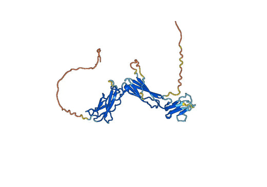 Human IL11RA recombinant protein
