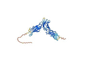 Human IL13RA2 recombinant protein