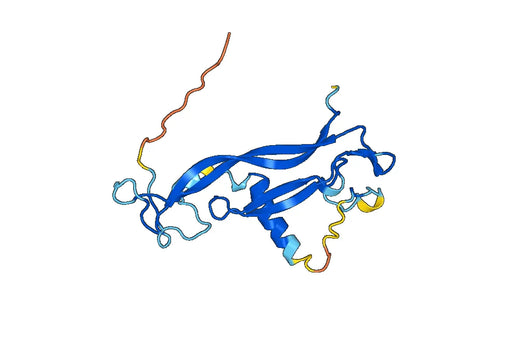 Human IL17C recombinant protein