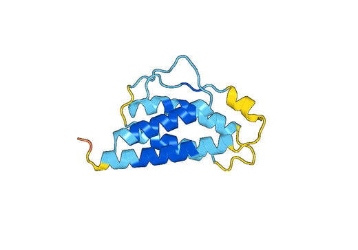 Human IL2 recombinant protein (mammalian cells)