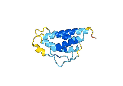 Human IL2 recombinant protein