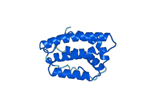 Human IL20 recombinant protein