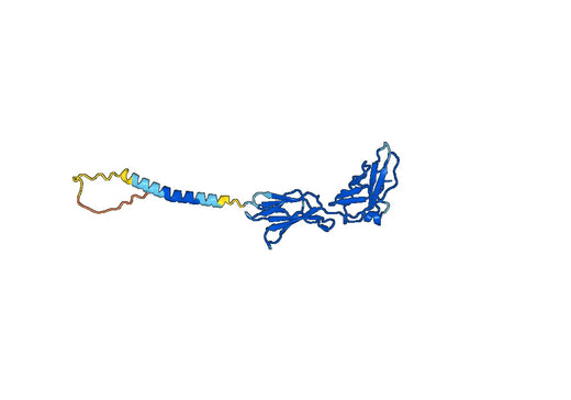 Human IL20RB recombinant protein