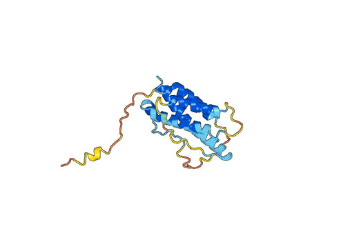 Human IL23A recombinant protein