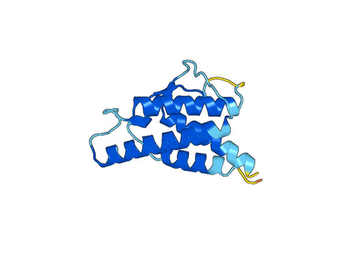 Human IL4 recombinant protein