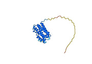 Human IL6 Recombinant Protein