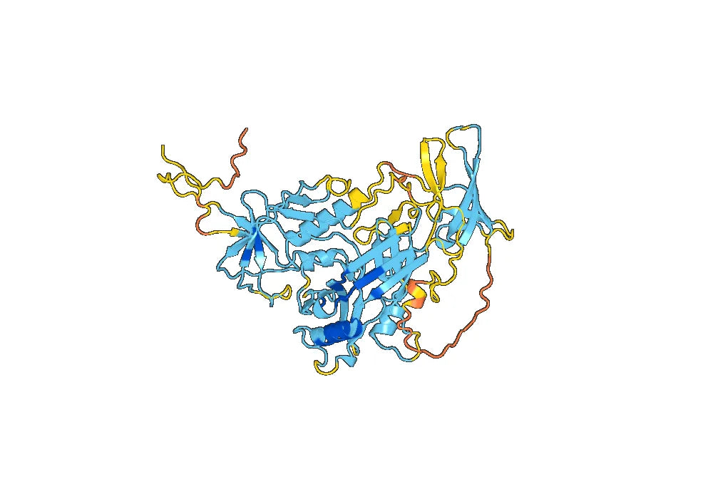 Human immunodeficiency virus type 2 subtype A (isolate NIH-Z) (HIV-2) HIV2 Surface recombinant protein