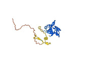 Human Interleukin-1 beta recombinant protein
