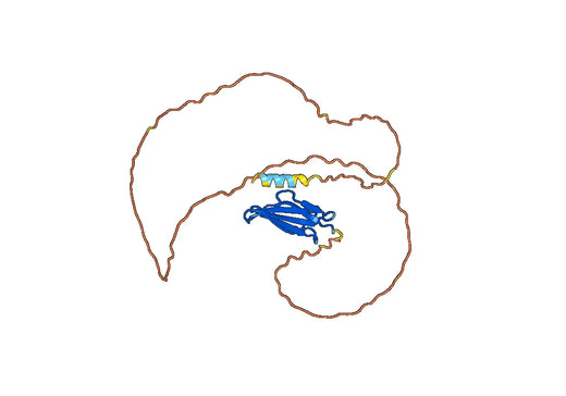 Human Intra Acrosomal,SP-10 recombinant protein