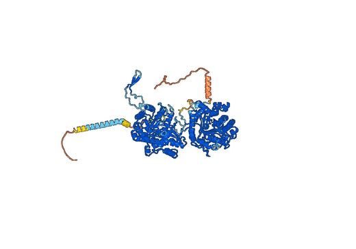 Human KLB/Beta-klotho Monoclonal Antibody