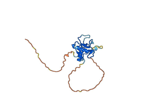 Human LAYN-Layilin recombinant protein