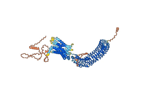 Human LGR4 Monoclonal Antibody