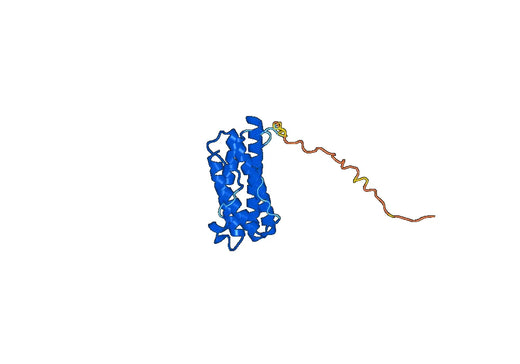 Human LIF recombinant protein