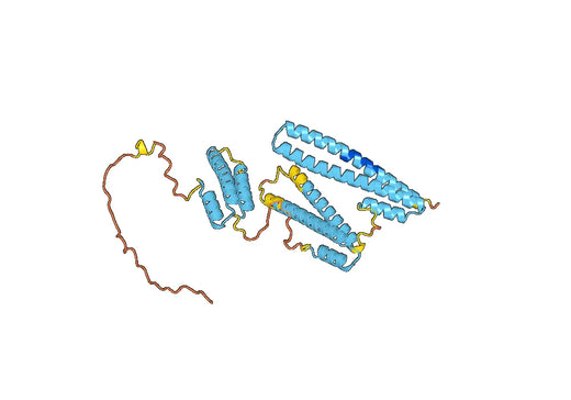Human LRPAP1 recombinant protein