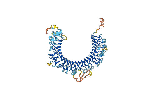 Human LRRC32 recombinant protein