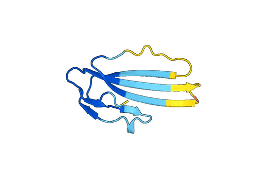 Human LY6E recombinant protein