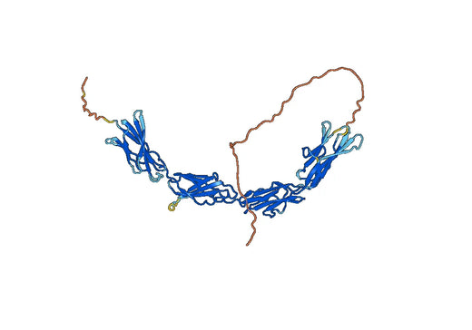 Human MERTK recombinant protein