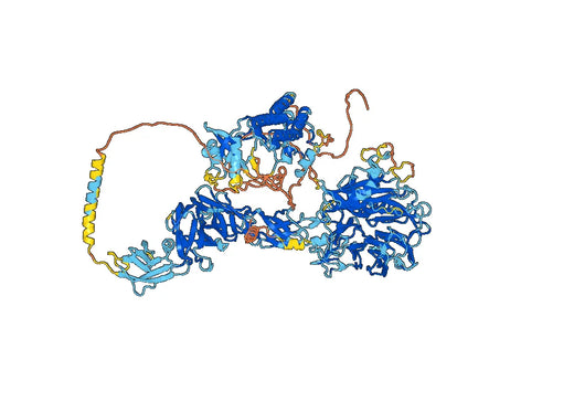 Human MET/c-Met/HGFR Monoclonal Antibody