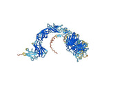 Human MET recombinant protein