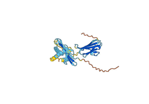 Human MICA recombinant protein