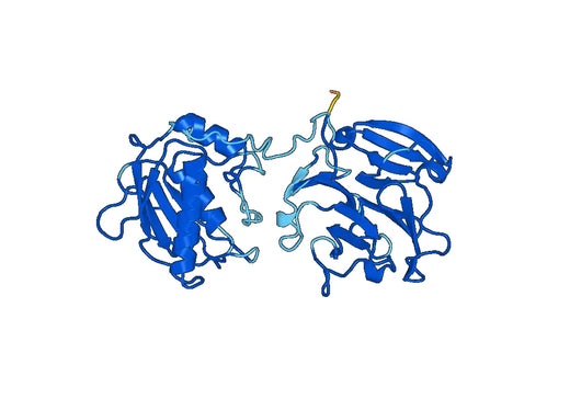 Human MMP8 recombinant protein