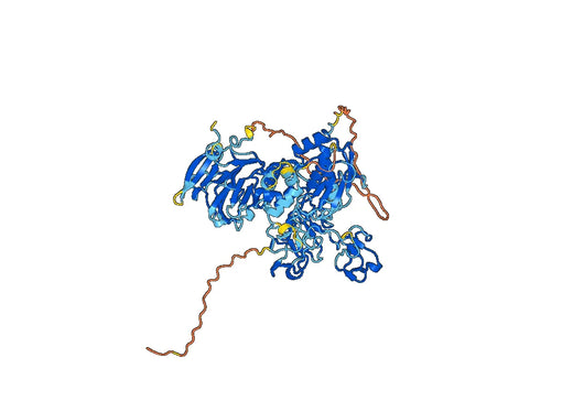 Human MMP9 Monoclonal Antibody