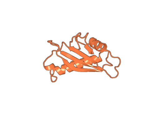Human MUC16/CA125 Monoclonal Antibody