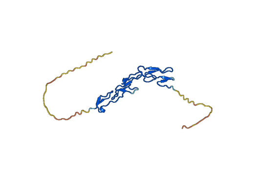 Human OX40 recombinant protein
