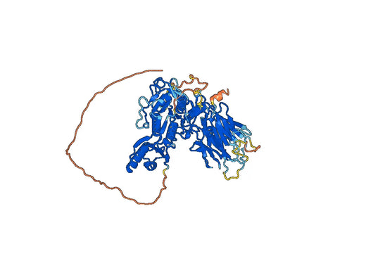 Human PCSK9 Monoclonal Antibody
