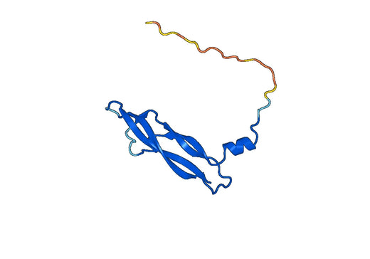 Human PGF recombinant protein