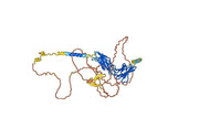 Human PRLR Monoclonal Antibody