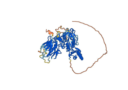 Human Proprotein convertase subtilisin: kexin type 9 recombinant protein